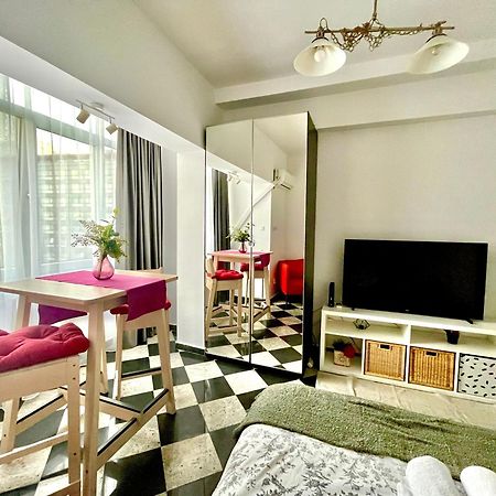 Victoriei Spacious Studio Bucureşti Exterior foto