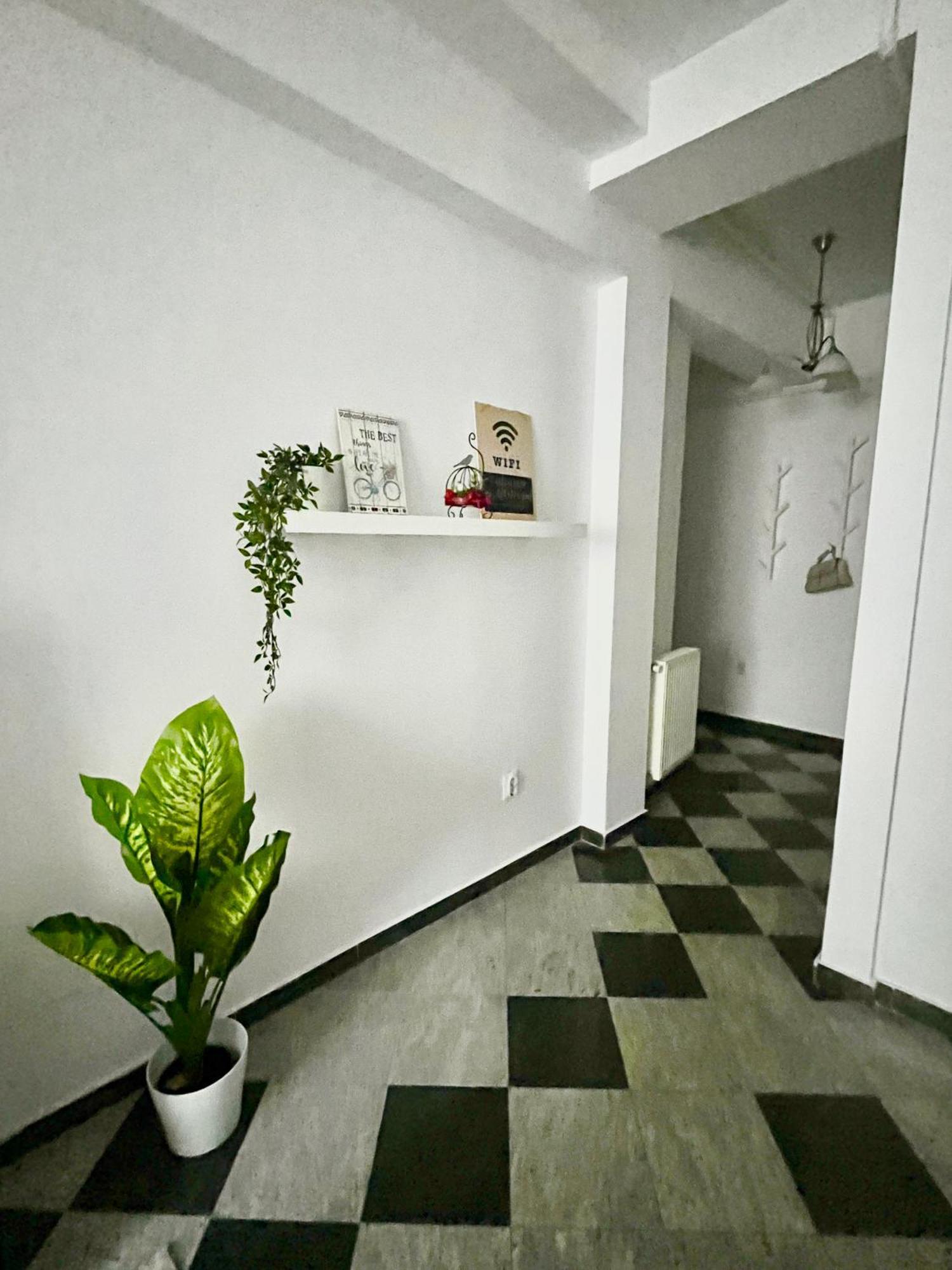 Victoriei Spacious Studio Bucureşti Exterior foto