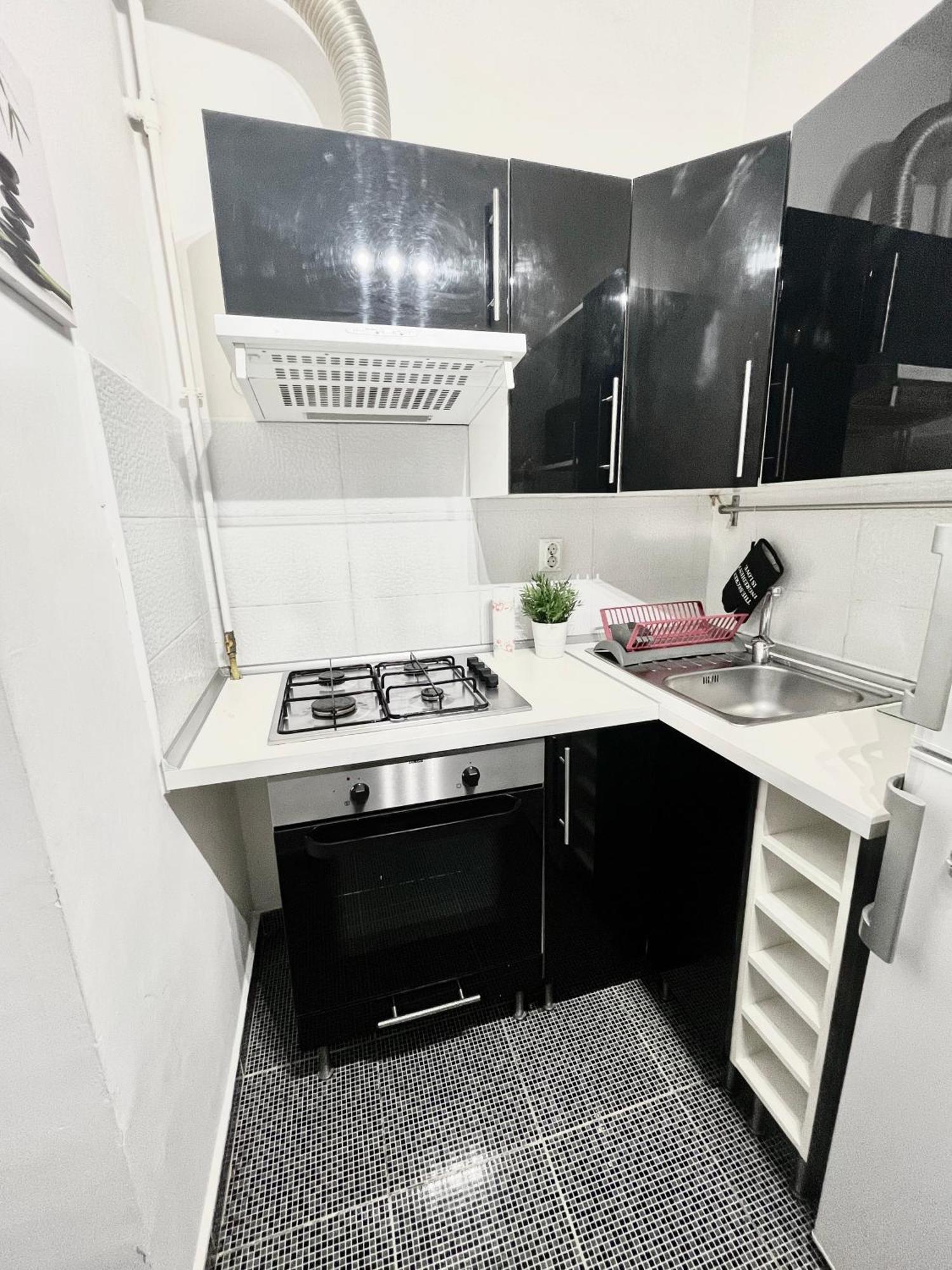 Victoriei Spacious Studio Bucureşti Exterior foto