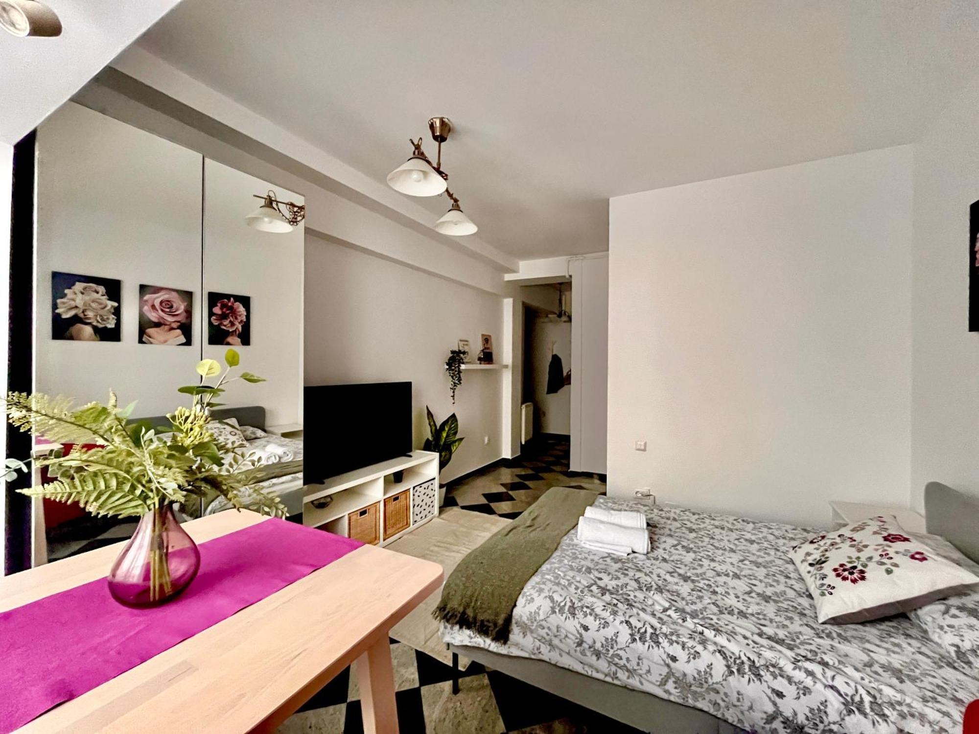Victoriei Spacious Studio Bucureşti Exterior foto